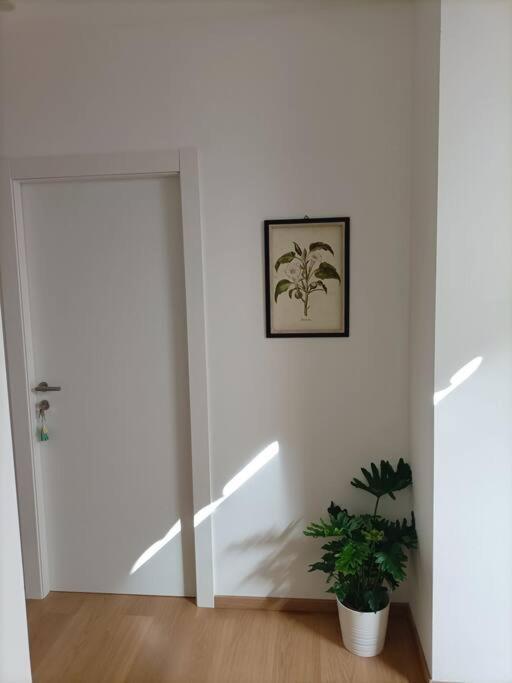 Loving My Rooms 1 - Deliziosa Mansarda In Centro Гориция Экстерьер фото